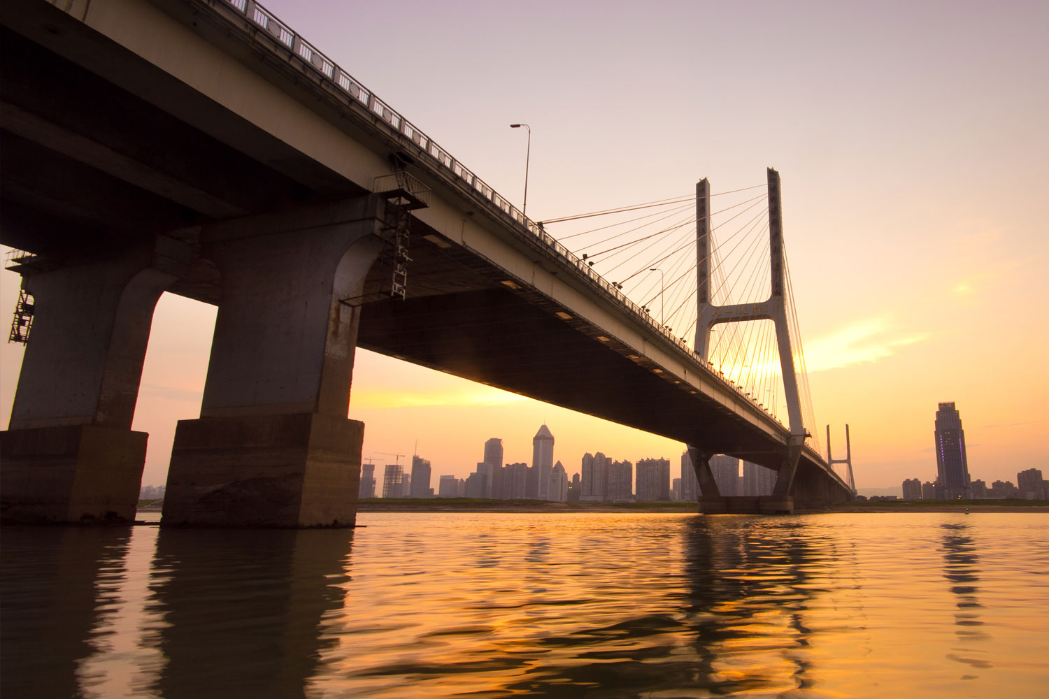 shutterstock_146958269